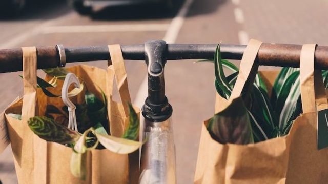 必ず喜ばれるスーパーのオランダ土産ベスト７ 食品編 Proostime